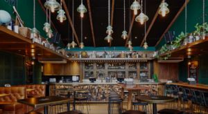 Surry-hills Suburb Profile