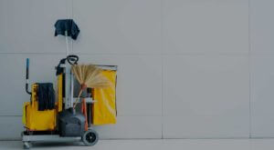 strata cleaning services