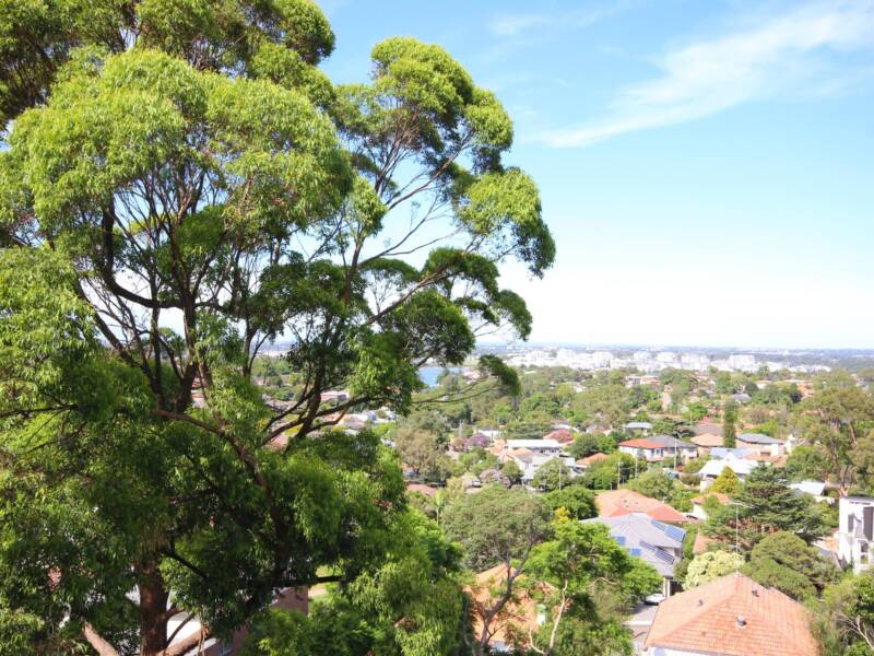 309/428 Victoria Road, Gladesville, NSW 2111 AUS