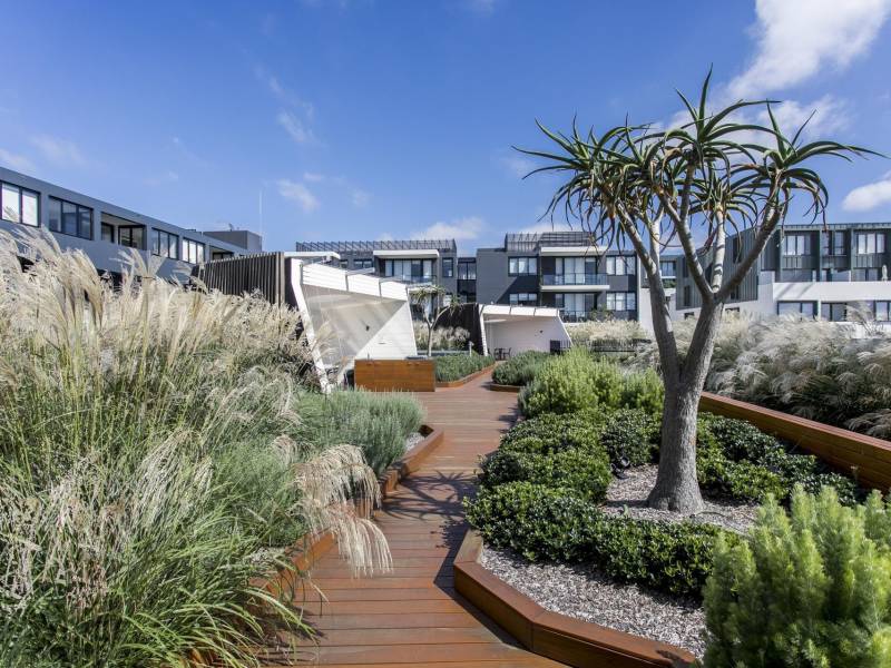 D206/72 MacDonald Street, Erskineville, NSW 2043 AUS